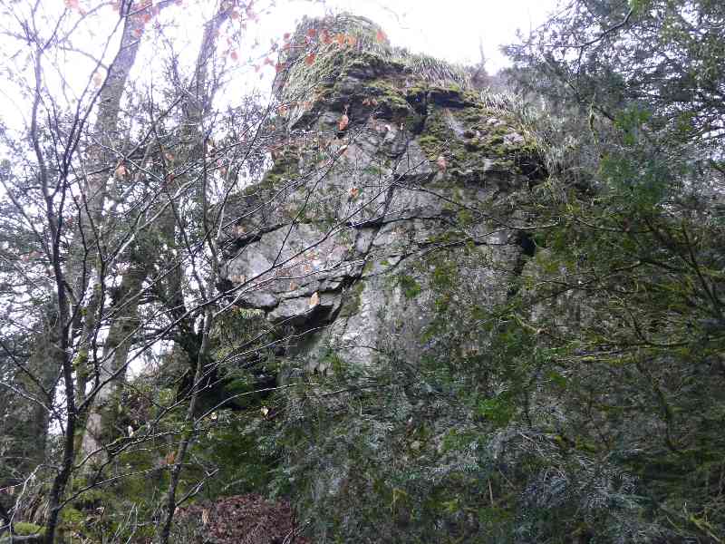 Le rocher de la Pie  Belle-Isle 
