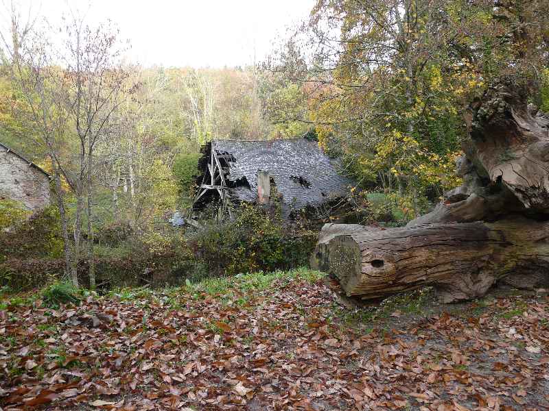 Maison dlabre ,paysage d’automne 
