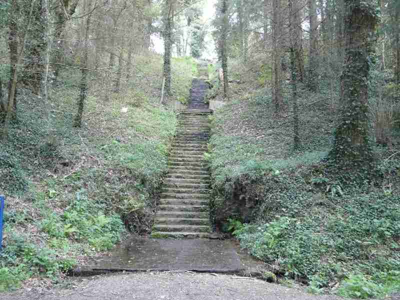 Escalier menant  la Fontaine de Pendreo   Belle-Isle en Terre (22)
