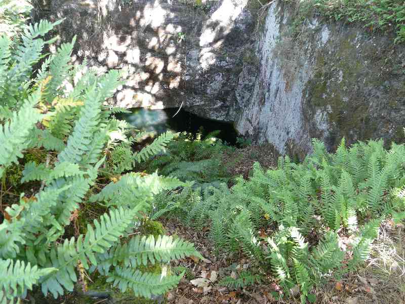 Puit d’ardoises de mur de Bretagne-Caurel certain de ceux-ci pouvaient atteindre plus de 60m de profondeur

