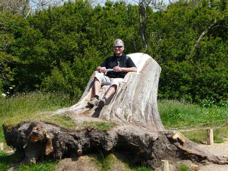 Fauteuil taill dans un tronc d’arbre et un randonneur des 2 mns  Ploumanac’h (22)
